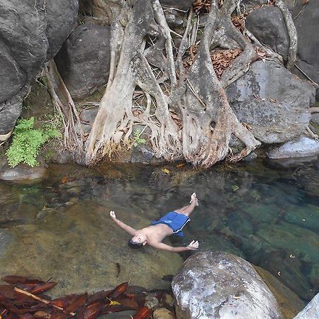 فيثيري White Water Woods Resort المظهر الخارجي الصورة