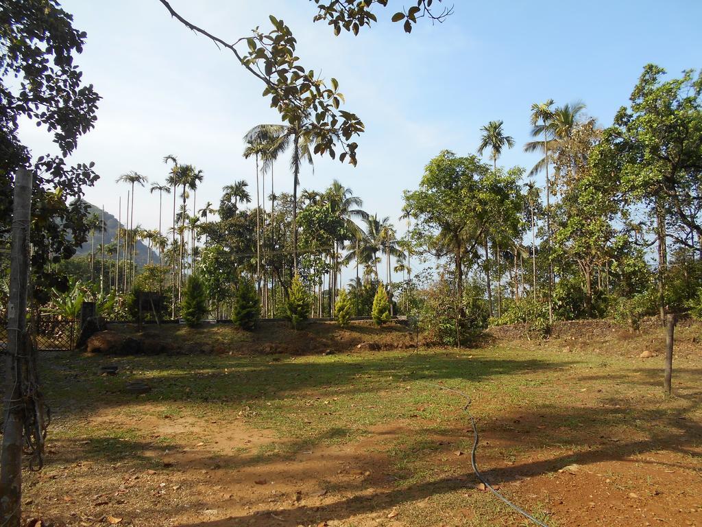 فيثيري White Water Woods Resort المظهر الخارجي الصورة