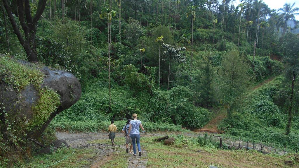 فيثيري White Water Woods Resort المظهر الخارجي الصورة